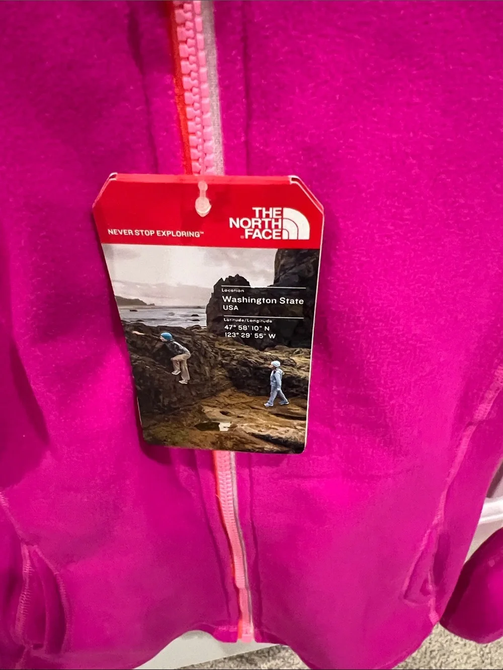 The North Face logo brand
